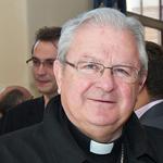 El bisbe auxiliar Javier Salines pregonarà les Festes de la Puríssima 2019